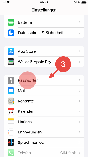 Tippen Sie in den iOS-Einstellungen auf "Passwörter".