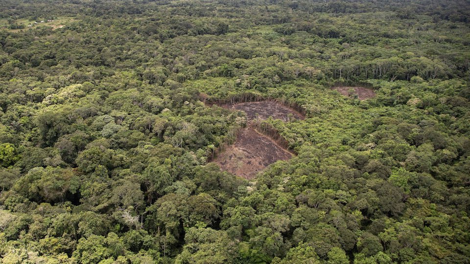 Gerodete Fläche im brasilianischen Amazonasgebiet