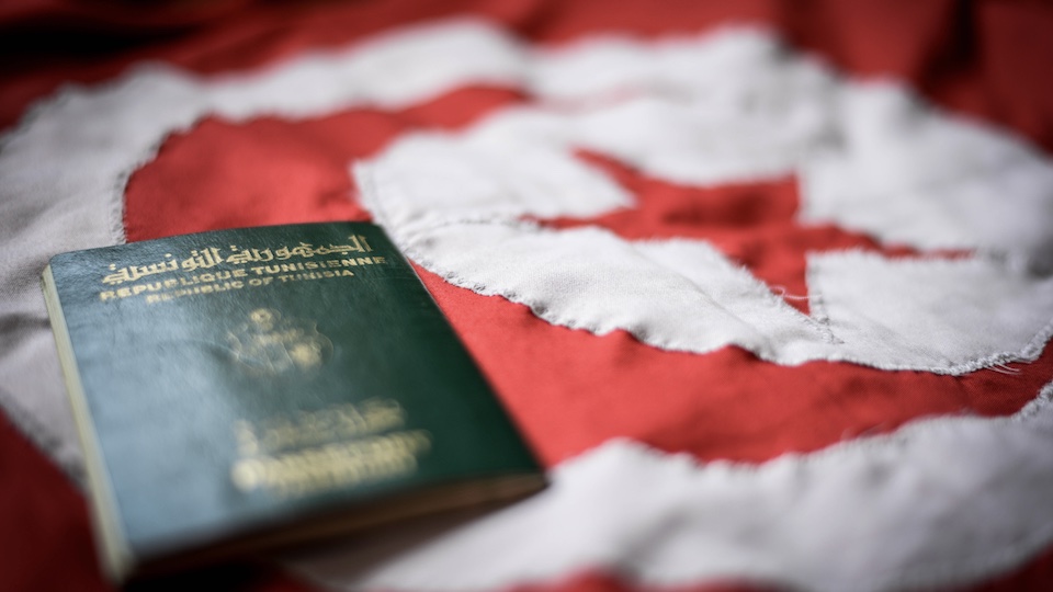 Tunesischer Pass vor Flagge