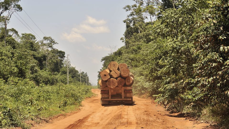 LKW transportiert Holz aus dem Amazonas-Regenwald