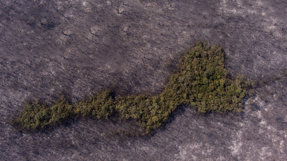 Abgebrannte Fläche bei Aleandroupoli