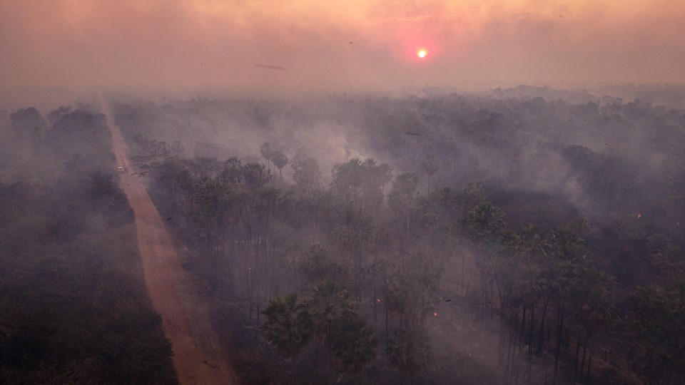 Waldbrand im Pantanal